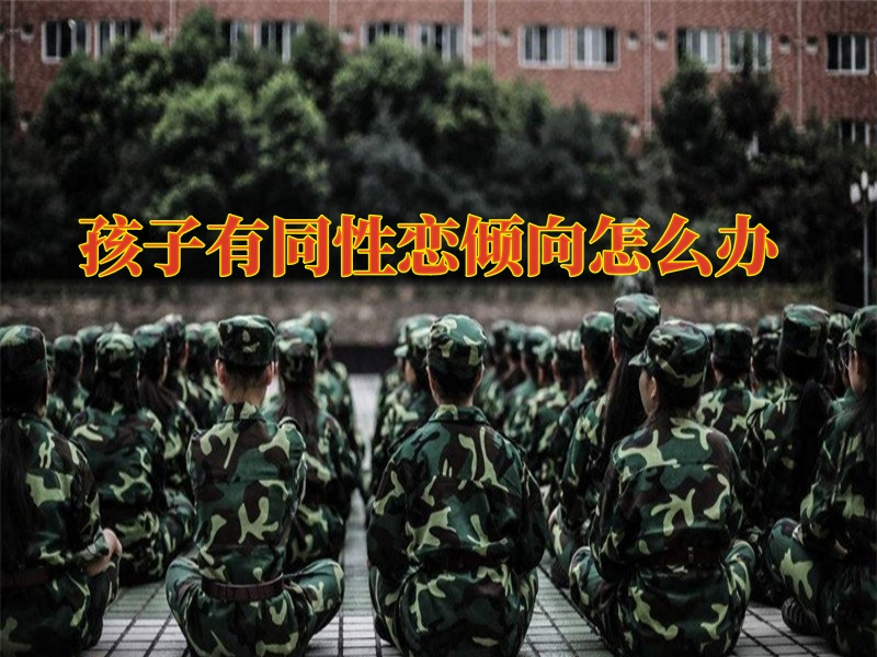 心理輔導學校,青少年封閉式教育學校