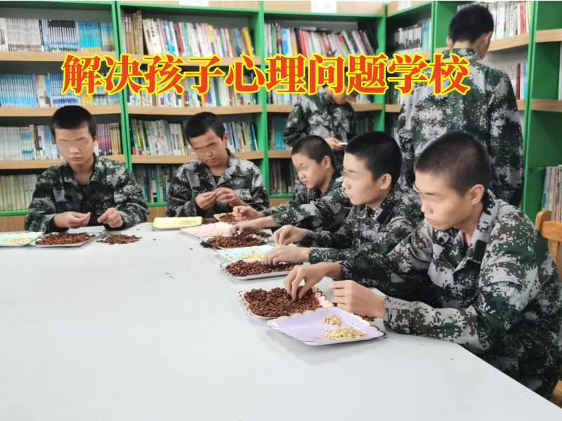 矯正孩子情緒低落學校,心理輔導學校