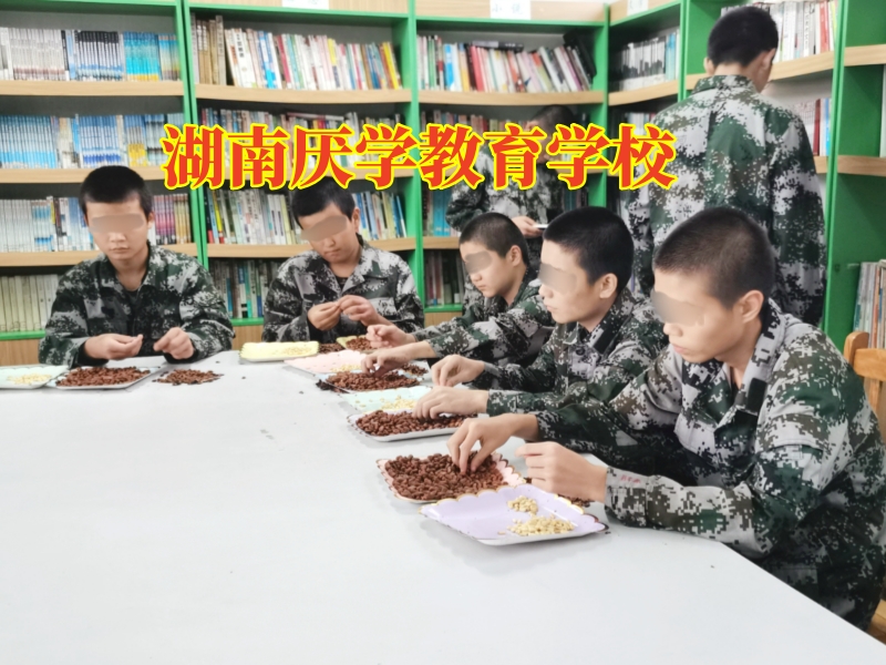 孩子不上學,小孩不上學