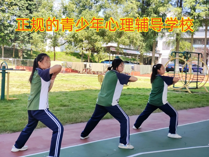 孩子不溝通,心理輔導(dǎo)學(xué)校
