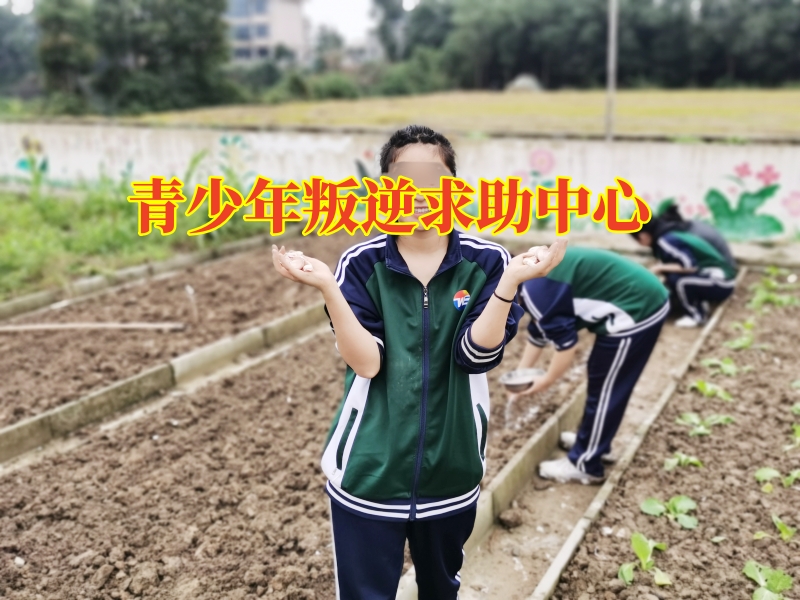 青少年叛逆求助中心，青春期孩子離家出走家長(zhǎng)如何幫助孩子進(jìn)行改善