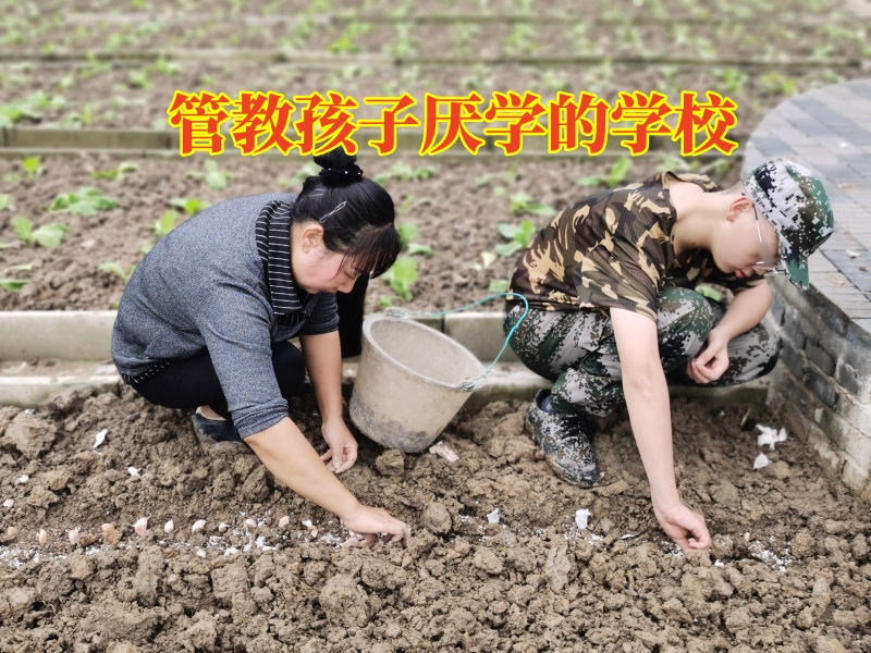 管教孩子厭學(xué)的學(xué)校，管教孩子厭學(xué)的學(xué)校矯正孩子成績(jī)下降問題
