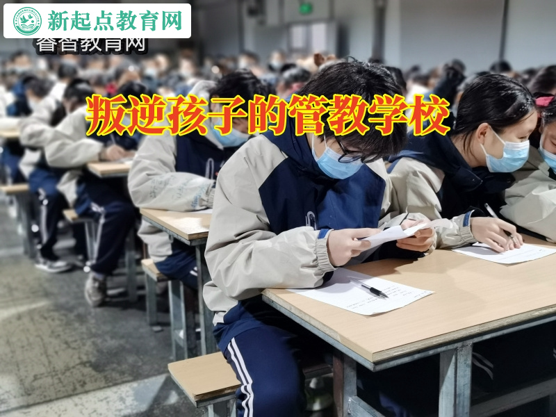 叛逆孩子的管教學(xué)校，叛逆孩子的管教學(xué)校這樣看待孩子躺平現(xiàn)象