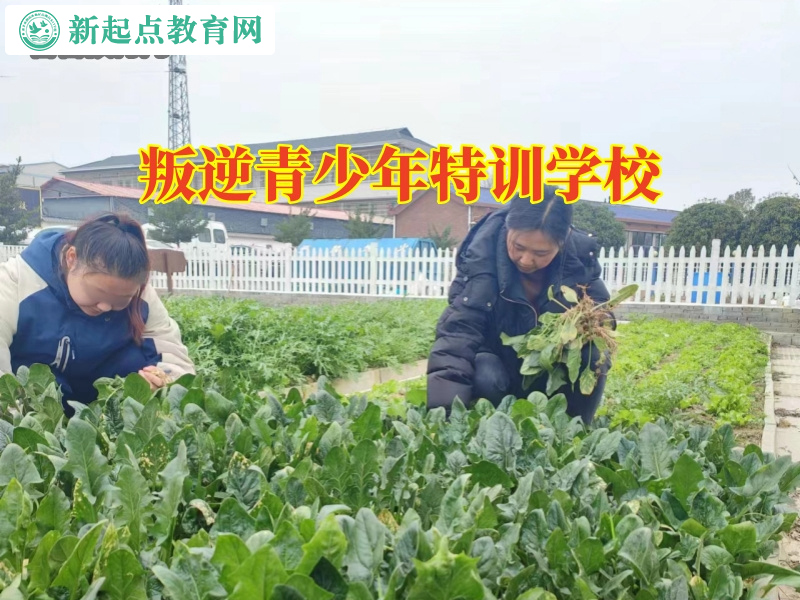 叛逆青少年特訓學校，叛逆青少年特訓學校針對孩子拒絕溝通怎么辦的建議