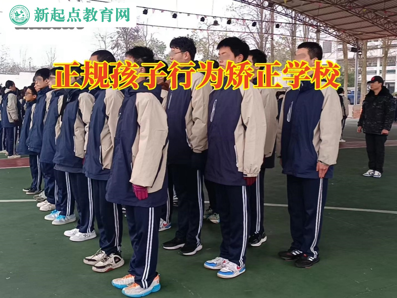 正規孩子行為矯正學校，正規孩子行為矯正學校孩子出現拔毛癖的原因