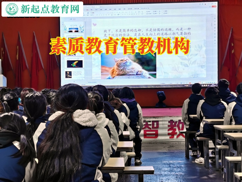素質教育管教機構對孩子網戀的看法