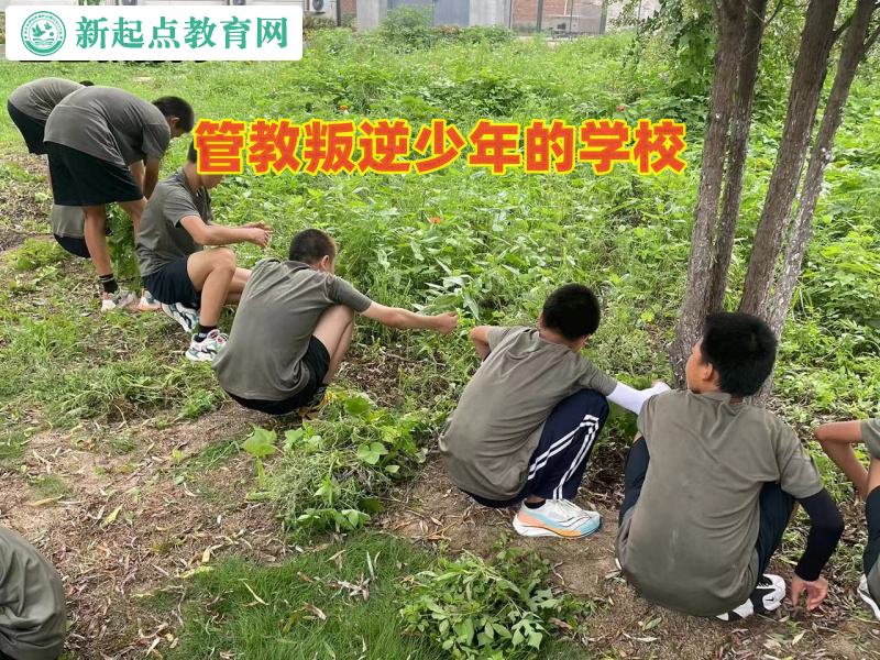 管教叛逆少年的學校教育孩子遠離手機游戲