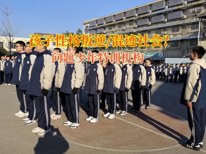 問題少年特訓機構(gòu)矯正孩子自覺性差的問題