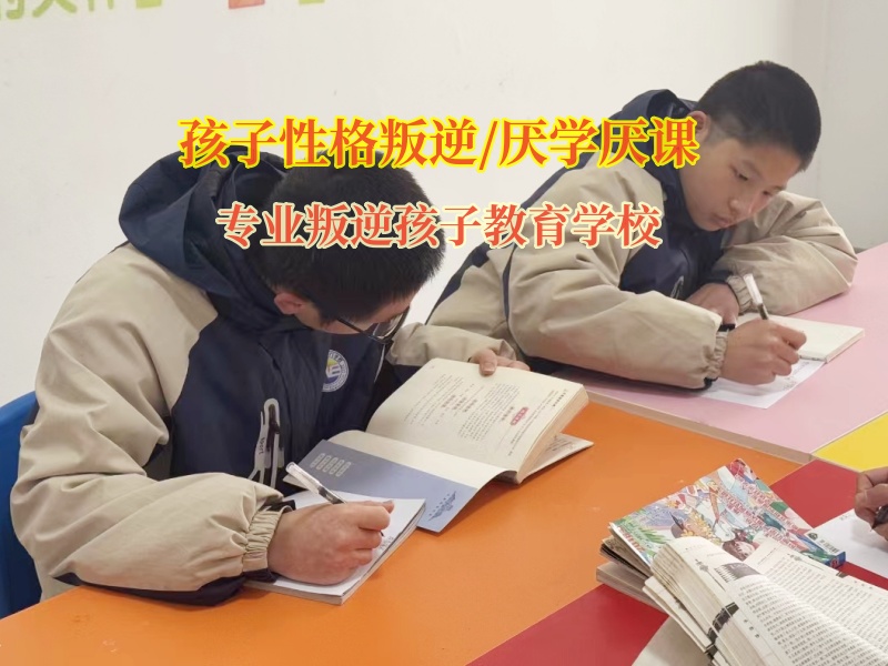 專業(yè)叛逆孩子教育學(xué)校幫助孩子重找學(xué)習(xí)的樂趣