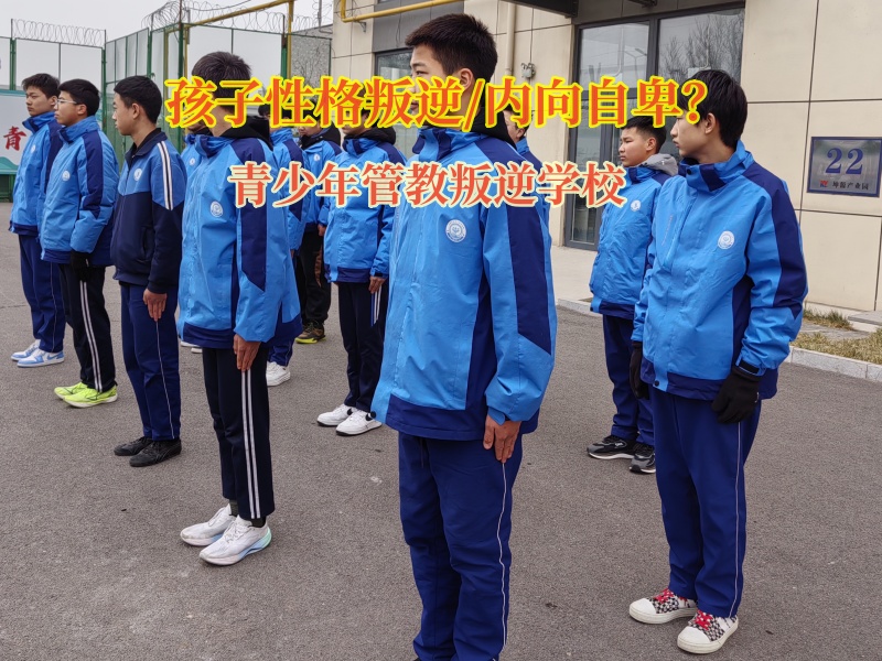 青少年管教叛逆學校幫助孩子克服膽小的問題