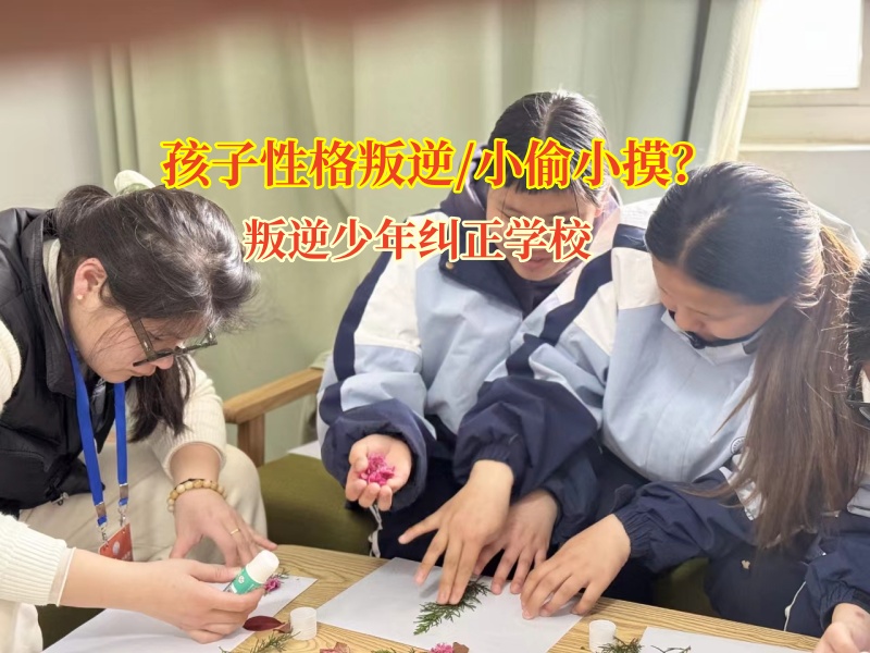 叛逆少年糾正學(xué)校教育孩子不要偷竊