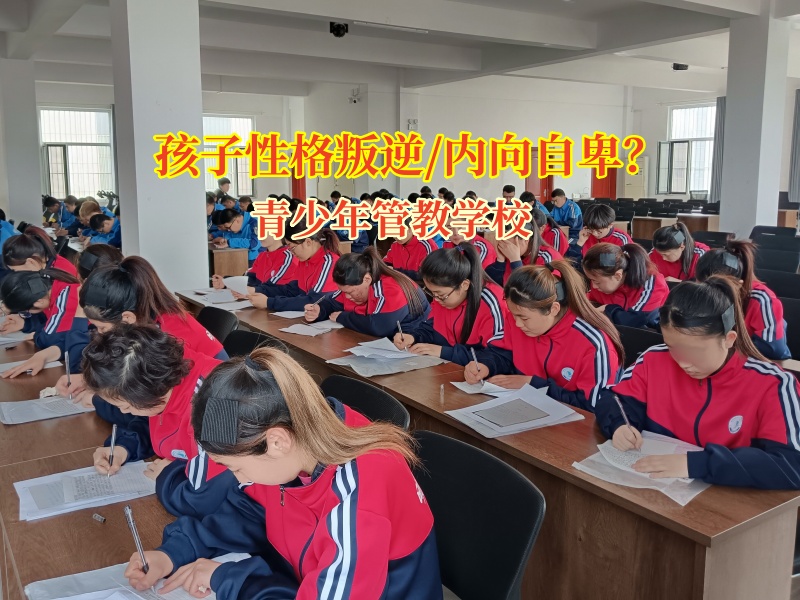 http://www.www8316.cn/