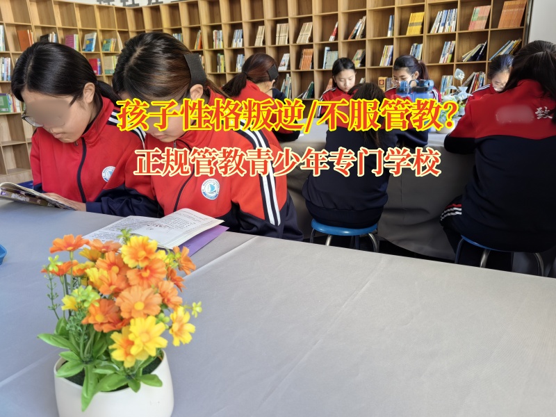 正規(guī)管教青少年專門學校解決孩子不服管問題