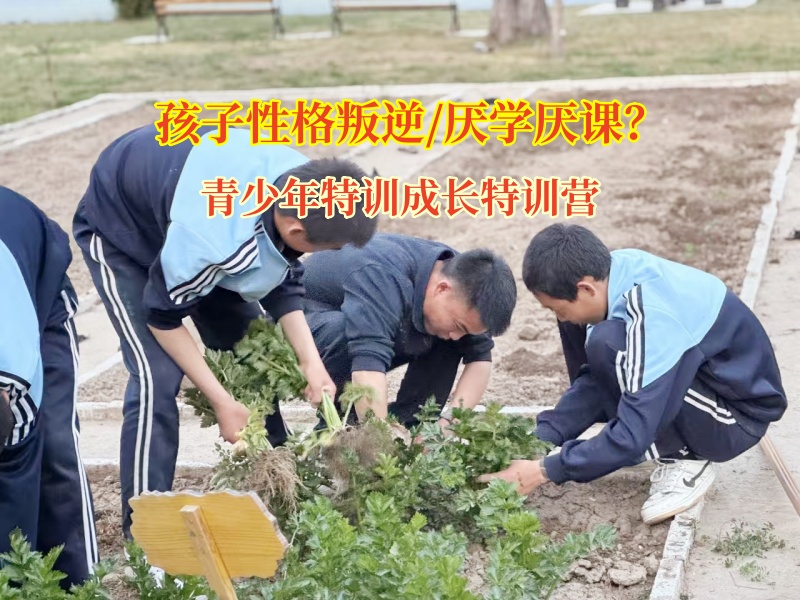 青少年特訓成長特訓營糾正孩子學習態度欠佳