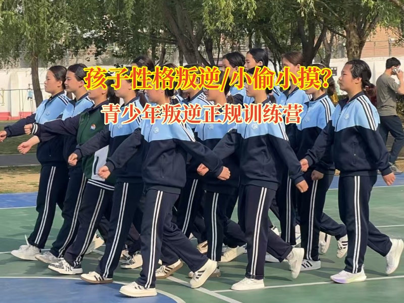 青少年叛逆正規訓練營專業引導孩子小偷小摸問題