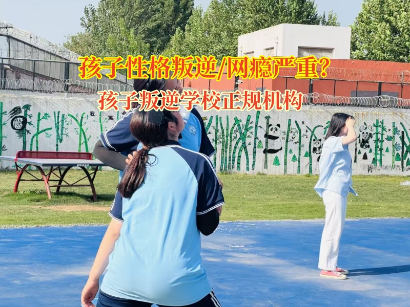 孩子叛逆學(xué)校正規(guī)機(jī)構(gòu)科學(xué)應(yīng)對(duì)孩子打罵父母行為