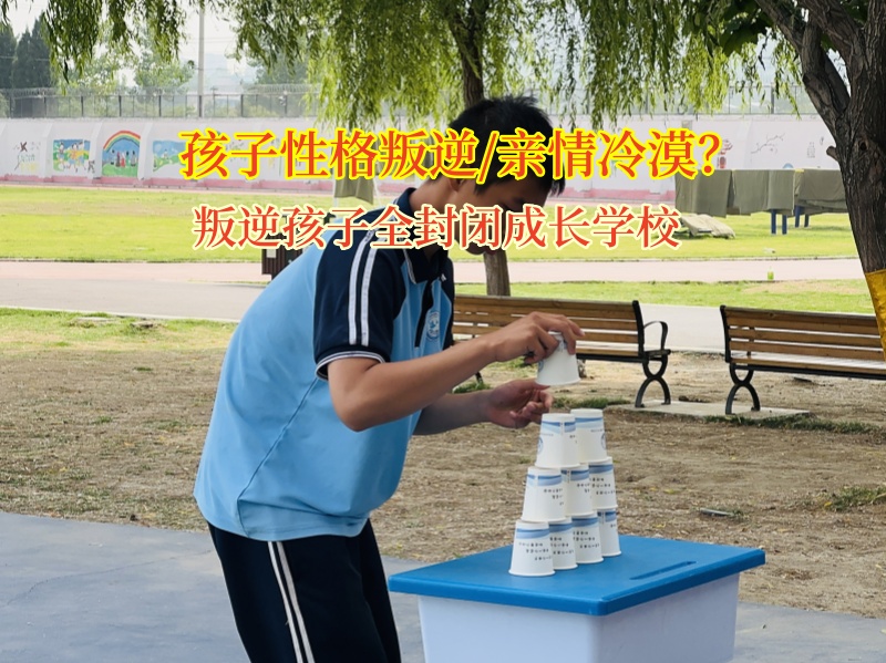 叛逆孩子全封閉成長學校解讀青少年親情冷漠