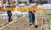孩子抑郁出現自殘行為家長該怎么幫助孩子進行改善