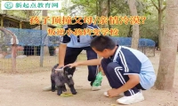 叛逆小孩轉(zhuǎn)變學(xué)校糾正孩子頂撞父母