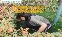 正規軍事化管教學校解決孩子懶惰的小妙招