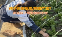 改造孩子叛逆期的學(xué)校應(yīng)對(duì)青少年暴躁問題