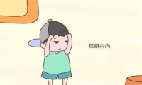 青少年人格培養(yǎng)學校