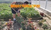 衡陽行為糾正學校：幫助孩子克服懶惰