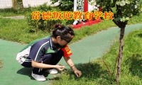 常德叛逆教育學校對孩子混社會的建議