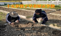 十五歲孩子早戀矯正學(xué)校對孩子早戀的建議