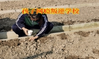 孩子沉迷游戲，家長(zhǎng)需要這樣做