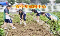 青少年戒網中心對孩子網吧通宵的建議