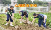 孩子性格孤僻不說(shuō)話怎么辦