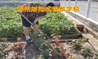 孩子說(shuō)謊怎么辦？90%的家長(zhǎng)都做錯(cuò)了！